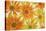 Orange Daisies-Cora Niele-Stretched Canvas