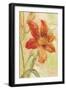 Orange Day Lily-Cheri Blum-Framed Art Print