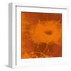 Orange Dream-Irena Orlov-Framed Art Print