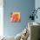 Orange Flip Flops-Paul Brent-Art Print displayed on a wall