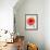 Orange Flower, 1999-Norman Hollands-Framed Photographic Print displayed on a wall