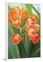 Orange Flower 2-Graeme Stevenson-Framed Giclee Print