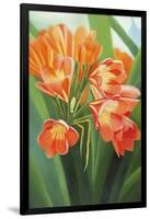 Orange Flower 2-Graeme Stevenson-Framed Giclee Print