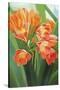 Orange Flower 2-Graeme Stevenson-Stretched Canvas