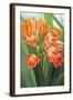 Orange Flower 2-Graeme Stevenson-Framed Giclee Print