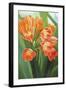 Orange Flower 2-Graeme Stevenson-Framed Giclee Print