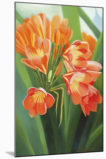 Orange Flower 2-Graeme Stevenson-Mounted Giclee Print