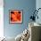 Orange Flower on Black 02-Tom Quartermaine-Framed Giclee Print displayed on a wall