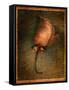 Orange Flower-Robert Cattan-Framed Stretched Canvas