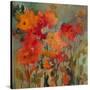 Orange Flower-Michelle Abrams-Stretched Canvas