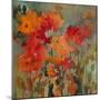 Orange Flower-Michelle Abrams-Mounted Premium Giclee Print