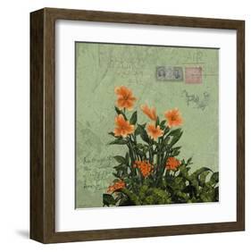 Orange Flowers-Rick Novak-Framed Art Print