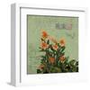 Orange Flowers-Rick Novak-Framed Art Print