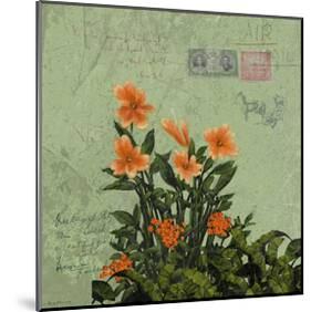 Orange Flowers-Rick Novak-Mounted Art Print