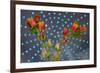 Orange Flowers-Charles Bowman-Framed Photographic Print