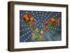 Orange Flowers-Charles Bowman-Framed Photographic Print