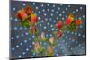 Orange Flowers-Charles Bowman-Mounted Photographic Print