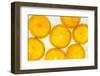 Orange Fresh-Steve Gadomski-Framed Photographic Print