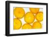 Orange Fresh-Steve Gadomski-Framed Photographic Print