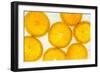 Orange Fresh-Steve Gadomski-Framed Photographic Print