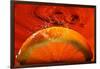 Orange FreshSplash 2-Steve Gadomski-Framed Photographic Print