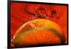 Orange FreshSplash 2-Steve Gadomski-Framed Photographic Print