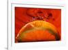 Orange FreshSplash 2-Steve Gadomski-Framed Photographic Print