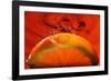 Orange FreshSplash 2-Steve Gadomski-Framed Photographic Print