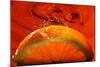 Orange FreshSplash 2-Steve Gadomski-Mounted Photographic Print