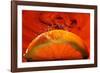 Orange FreshSplash 2-Steve Gadomski-Framed Photographic Print