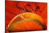 Orange FreshSplash 2-Steve Gadomski-Stretched Canvas
