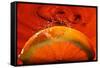 Orange FreshSplash 2-Steve Gadomski-Framed Stretched Canvas