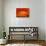 Orange FreshSplash 2-Steve Gadomski-Photographic Print displayed on a wall