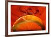 Orange FreshSplash 2-Steve Gadomski-Framed Photographic Print