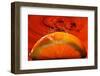 Orange FreshSplash 2-Steve Gadomski-Framed Photographic Print