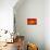 Orange FreshSplash 2-Steve Gadomski-Mounted Photographic Print displayed on a wall