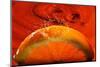 Orange FreshSplash 2-Steve Gadomski-Mounted Photographic Print