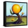 Orange Fruit Tree-Leah Saulnier-Framed Stretched Canvas