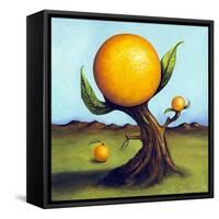 Orange Fruit Tree-Leah Saulnier-Framed Stretched Canvas