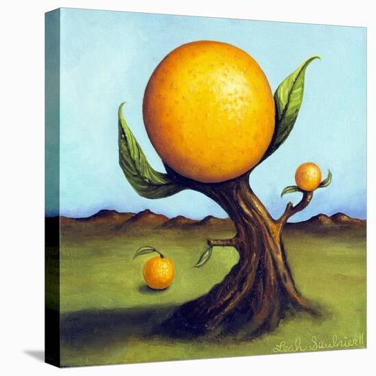 Orange Fruit Tree-Leah Saulnier-Stretched Canvas