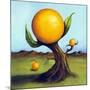 Orange Fruit Tree-Leah Saulnier-Mounted Giclee Print