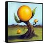 Orange Fruit Tree-Leah Saulnier-Framed Stretched Canvas
