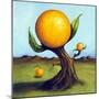 Orange Fruit Tree-Leah Saulnier-Mounted Giclee Print