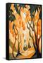 Orange Fruit Trees-Lea Faucher-Framed Stretched Canvas