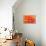 Orange Funnel Dahlia-Dana Styber-Stretched Canvas displayed on a wall