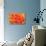 Orange Funnel Dahlia-Dana Styber-Stretched Canvas displayed on a wall