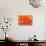 Orange Funnel Dahlia-Dana Styber-Stretched Canvas displayed on a wall