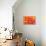 Orange Funnel Dahlia-Dana Styber-Photographic Print displayed on a wall