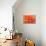 Orange Funnel Dahlia-Dana Styber-Mounted Photographic Print displayed on a wall