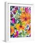 Orange Gerber Daisies 2-Kim Parker-Framed Giclee Print